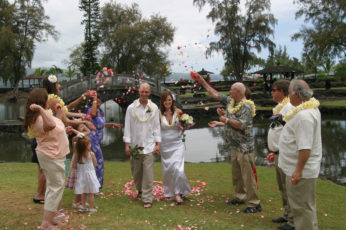 hi-hilo-venue-garden-09