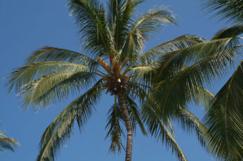 hi-kona-venue-beach-12 hi-kona-venue-beach-12